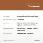 Калибрахоа Lia Melon (срез/5шт) — что приедет
