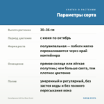 Калибрахоа LIA Sky Blue (0,1л) — параметры сорта