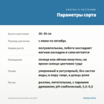 Калибрахоа LIA Sky Blue (срез/5шт) — параметры сорта