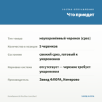 Калибрахоа LIA Sky Blue (срез/5шт) — что приедет