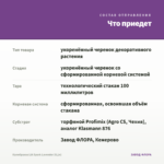 Калибрахоа LIA Spark Lavender (0,1л) — что приедет