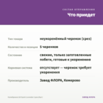 Калибрахоа LIA Spark Lavender (срез/5шт) — что приедет