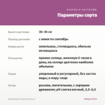 Калибрахоа Lia Spark Pink (0,1л) — параметры сорта