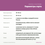 Калибрахоа Lia Spark Pink (0,1л) — параметры сорта