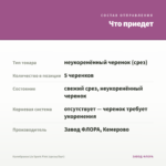 Калибрахоа Lia Spark Pink (срезы/5шт) — что приедет