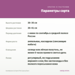 Калибрахоа Lia Spark Pink (срезы/5шт) — параметры сорта
