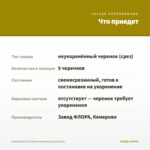 Калибрахоа LIA Yellow improved (срезы/5шт) — что приедет
