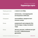Калибрахоа M.F. Neo Double Loopy Pink (срезы/5шт) — параметры сорта