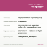 Калибрахоа M.F. Neo Double Loopy Pink (срезы/5шт) — что приедет