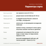 Калибрахоа M.F. Uno Early Oriental 455 (0,1л) — параметры сорта