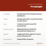 Калибрахоа M.F. Uno Early Oriental 455 (0,1л) — что приедет