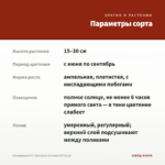 Калибрахоа M.F. Uno Early Oriental 455 (0,1л) — параметры сорта