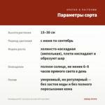 Калибрахоа M.F. Uno Early Oriental 455 (срез/5шт) — параметры сорта