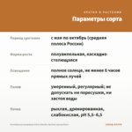 Калибрахоа махровая Aloha Double Apricot (срезы/5шт) — параметры сорта