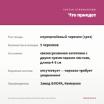Калибрахоа махровая Aloha Double Pink Star (срезы/5шт) — что приедет