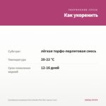 Калибрахоа махровая Aloha Double Pink Star (срезы 5 шт) — как укоренить черенок