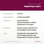 Калибрахоа махровая Aloha Double Purple (0,1л) — параметры сорта