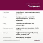 Калибрахоа махровая Aloha Double Purple (0,1л) — что приедет
