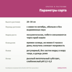 Калибрахоа махровая Aloha Double Soft Pink (срезы/5шт) — параметры сорта