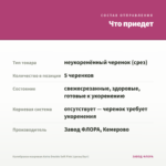 Калибрахоа махровая Aloha Double Soft Pink (срезы/5шт) — что приедет
