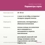 Калибрахоа махровая Aloha Double Soft Pink (0,1л) — параметры сорта
