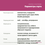 Калибрахоа махровая Aloha Double Soft Pink (срез/5 шт) — параметры сорта