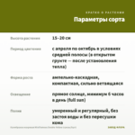 Калибрахоа махровая MiniFamous Double Yellow (срезы/5шт) — параметры сорта