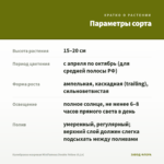 Калибрахоа махровая MiniFamous Double Yellow (0,1л) — параметры сорта