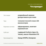 Калибрахоа махровая MiniFamous Double Yellow (0,1л) — что приедет