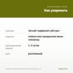 Калибрахоа махровая MiniFamous Double Yellow (срезы 5 шт) — как укоренить черенок