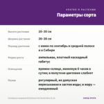 Калибрахоа махровая MiniFamous Neo Double Blue (0,1л) — параметры сорта