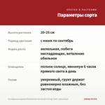 Калибрахоа махровая MiniFamous Neo Double Orange Tastic (срезы/5шт) — параметры сорта
