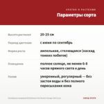 Калибрахоа махровая MiniFamous Neo Double Orange Tast (0,1л) — параметры сорта