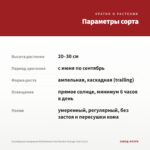Калибрахоа махровая MiniFamous Neo Double Orange Tast (0,1л) — параметры сорта