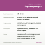 Калибрахоа махровая Superbells Sweet Love(0,1л) — параметры сорта