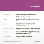 Калибрахоа махровая Superbells Sweet Love(0,1л) — что приедет