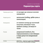 Калибрахоа махровая Superbells Sweet Love (0,1л) — параметры сорта