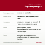 Калибрахоа Million Bells Classic Bouquet Red (0,1л) — параметры сорта