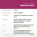 Калибрахоа Million Bells Trailing Fuchsia (0,1л) — параметры сорта