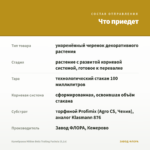 Калибрахоа Million Bells Trailing Fuchsia (0,1л) — что приедет
