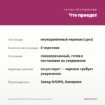 Калибрахоа Million Bells Trailing Fuchsia (срезы/5шт) — что приедет