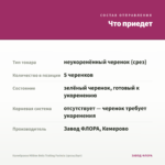 Калибрахоа Million Bells Trailing Fuchsia (срезы/5шт) — что приедет