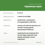 Калибрахоа Million Bells Trailing Ice (0,1л) — параметры сорта