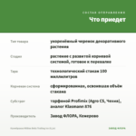 Калибрахоа Million Bells Trailing Ice (0,1л) — что приедет