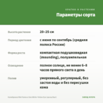 Калибрахоа Mini Famous Uno White+Yellow Eye (срезы/5шт) — параметры сорта