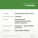 Калибрахоа Mini Famous Uno White+Yellow Eye (срезы/5шт) — что приедет