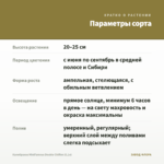 Калибрахоа MiniFamous Double Chiffon (0,1л) — параметры сорта