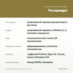 Калибрахоа MiniFamous Double Chiffon (0,1л) — что приедет