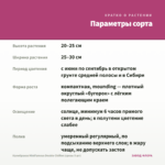 Калибрахоа MiniFamous Double Chiffon (срезы 5 шт) — параметры сорта