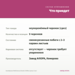 Калибрахоа MiniFamous Double Chiffon (срезы 5 шт) — что приедет